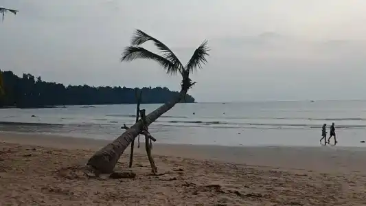 Seaview Resort Khao Lak - SHA Plus - 58