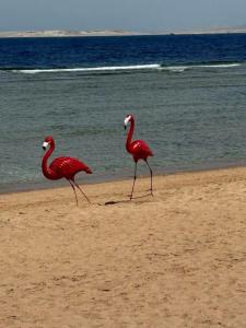 Rixos Sharm El Sheikh - Ultra All Inclusive Adults Only 18 Plus - 25