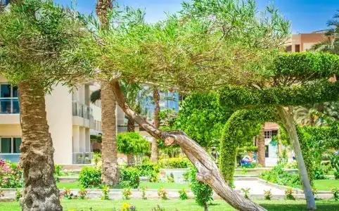 Seagull Beach Resort - Families and Couples Only - 38