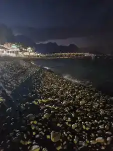 Viking Nona Beach - 35