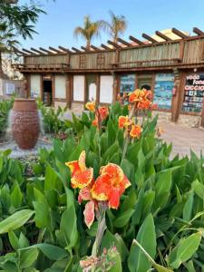 Reef Oasis Blue Bay Resort & Spa - 40