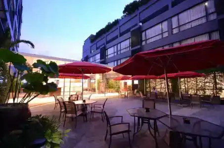 The Lantern Resorts Patong - SHA Extra Plus - 15