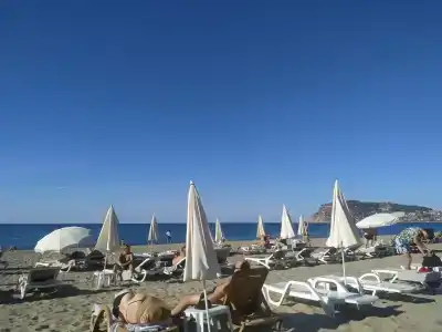 Kaila Krizantem - 85