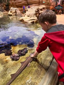 Hilton Abu Dhabi Yas Island - 55