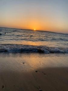 Seagull Beach Resort - Families and Couples Only - 19
