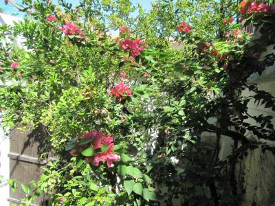 Stratos ArtDeco House - 34