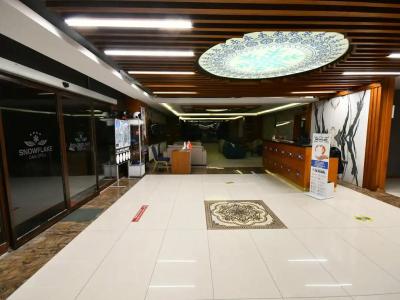 Snowflake Dag & SPA - 3