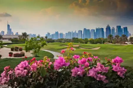 Address Montgomerie - 6