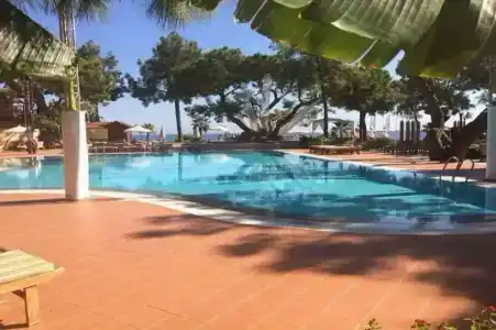 ROBINSON CAMYUVA - Adults only - 55