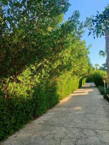 Mirage Bay Resort & Aqua Park - 50