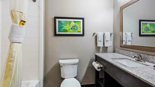 Best Western Plus Tech Medical Center Inn - 6