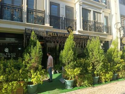 Pell Palace & Spa - 9