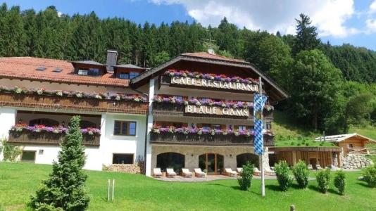 Blaue Gams ***S - 58