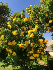 Baron Palms Adults Friendly Only 16 years plus Boutique Style - 25