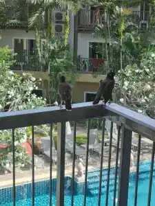 Baan Karon Resort - SHA Extra Plus - 18