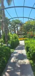Justiniano Theodora Resort - 63