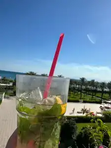 Adam & Eve - Adult Only - 61