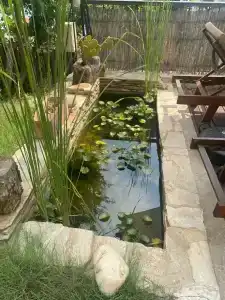 Villa Turka - 21