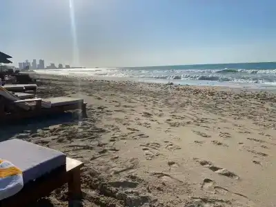 The Oberoi Beach Resort, Al Zorah - 42