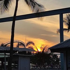 Pattaya Park Beach Resort - 79