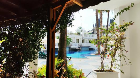 Crystal Prestige Elite - 67