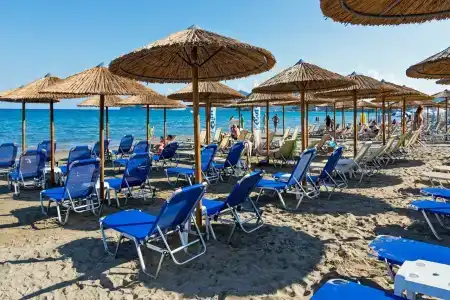 White Olive Premium Laganas - 15