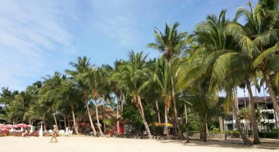 Coconut Beach Resort - 57