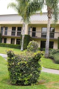 Best Western Plus South Coast Inn - 37