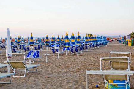 Panama Majestic - 11