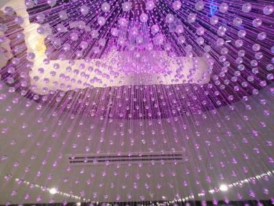 Bliss Singapore - 48