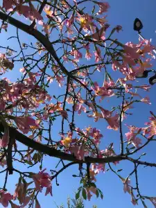 Rixos Premium Saadiyat Island - All Inclusive - 82