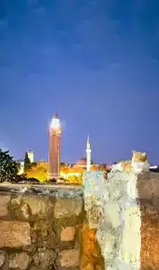 Adalya Port - 17