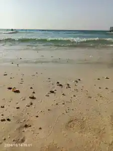 Sahara Beach Resort & Spa - 67