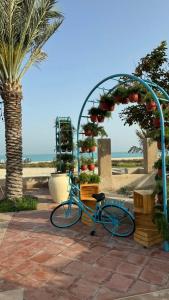 The St. Regis Saadiyat Island Resort, Abu Dhabi - 87