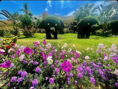 Seagull Beach Resort - Families and Couples Only - 26