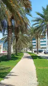 Jumeira Rotana - 31