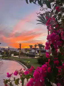 Park Regency Sharm El Sheikh Resort - 55