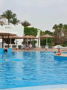 Domina Coral Bay Resort, Diving , Spa & Casino - 36