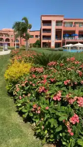 Pickalbatros Laguna Vista Aqua Park - Sharm El Sheikh - 39