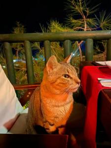 Symbola Oludeniz Beach - 63