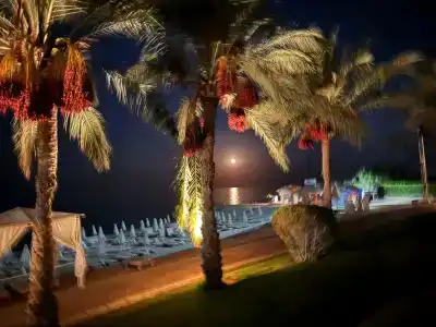 Serenity Alpha Beach - Ex Serenity Makadi Beach - 5