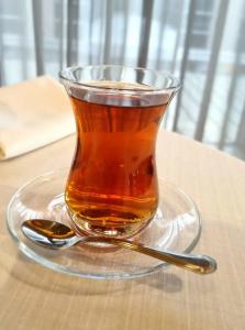 Hyatt Centric Levent Istanbul - 57