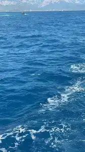 Tu Casa Gelidonya - 51