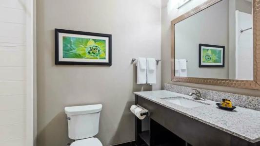 Best Western Plus Tech Medical Center Inn - 39