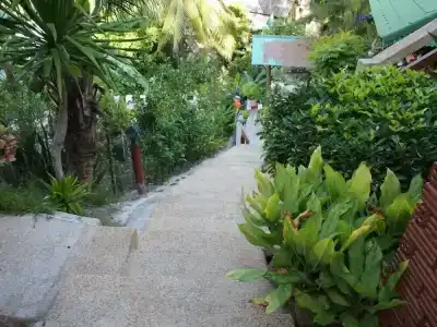 Palm Point Village - 65