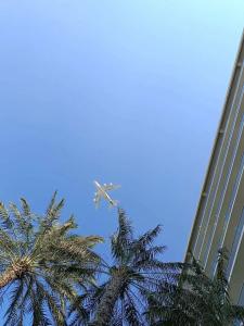 Radisson Blu, Abu Dhabi Yas Island - 31