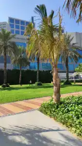 Beach Rotana Residences - 49