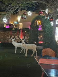 Rixos Sharm El Sheikh - Ultra All Inclusive Adults Only 18 Plus - 80