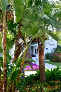 Side Resort Annex - 72