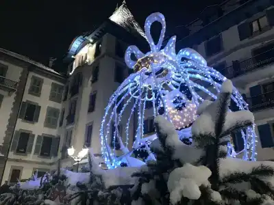 Grand Hôtel des Alpes - 4